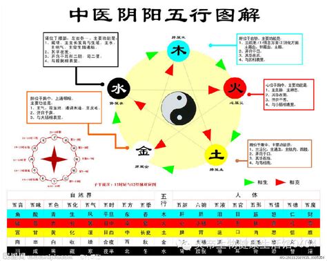 五行相生相剋表